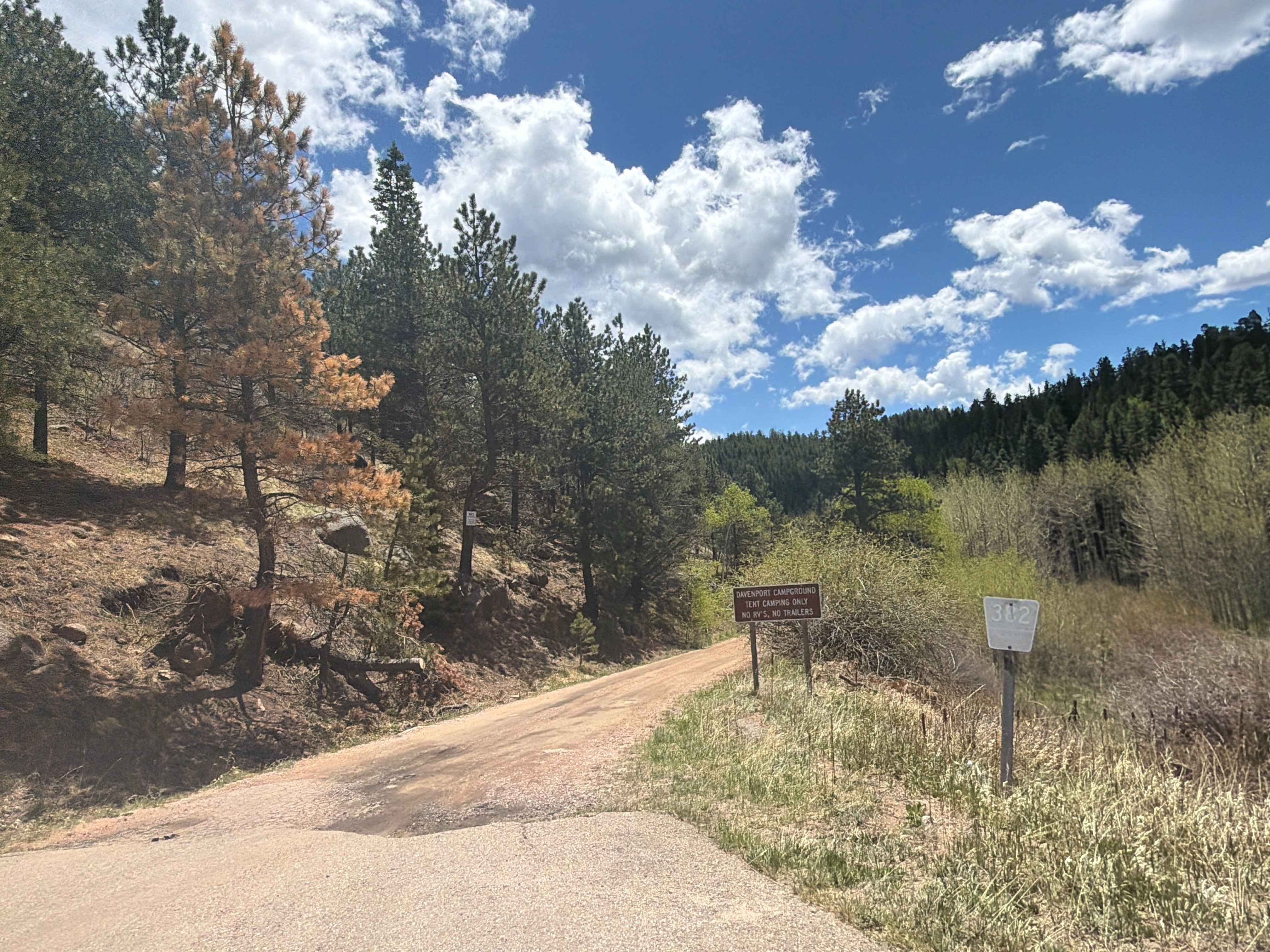 Davenport Campground Gulch Road