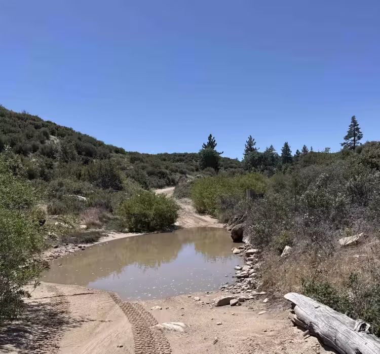 Crab Flats