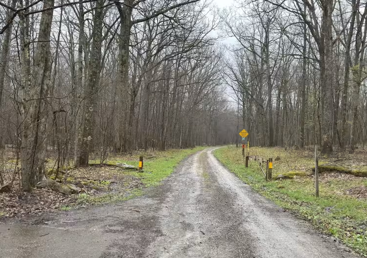Elk Horn Run - FS 155
