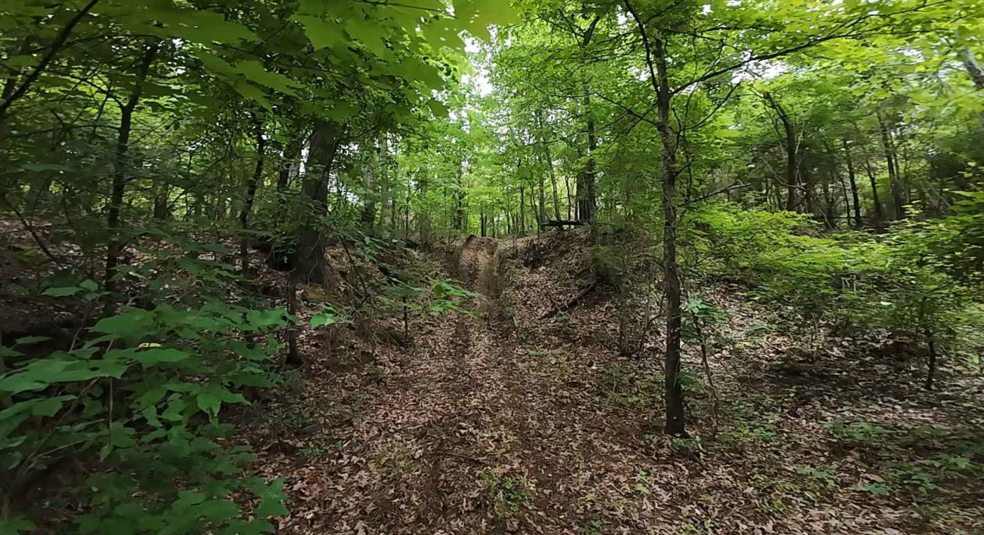 Burnett Trail
