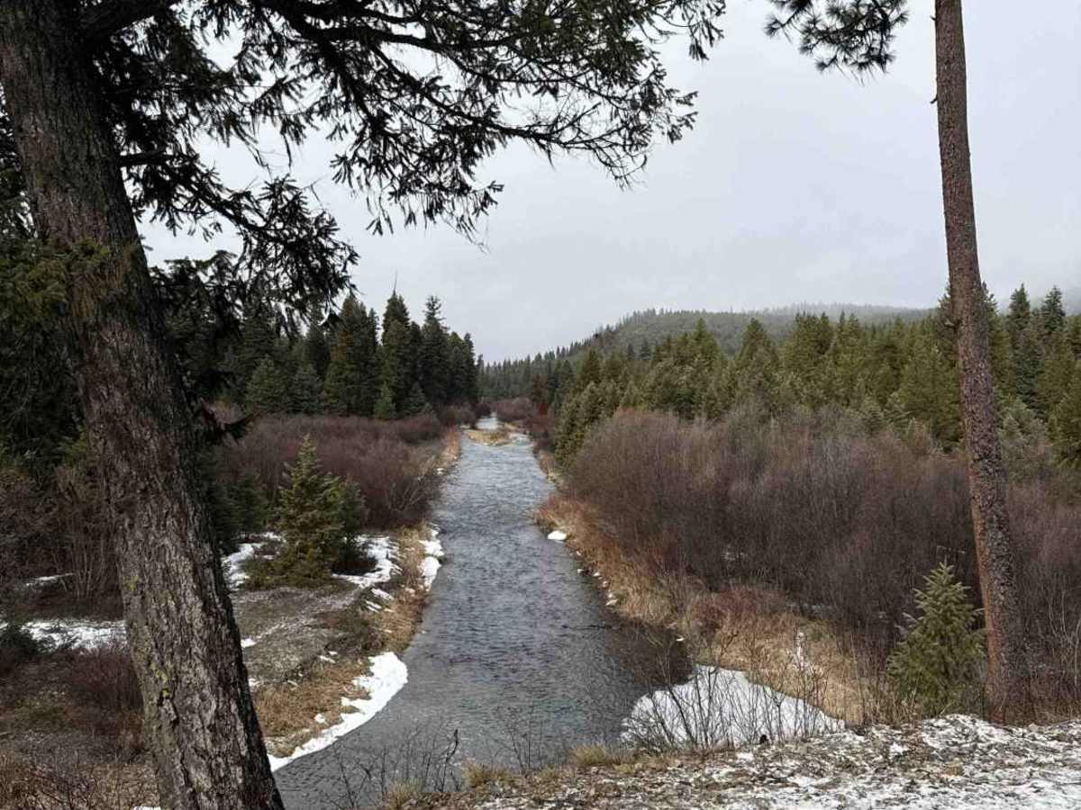 Thompson River Road photo 5