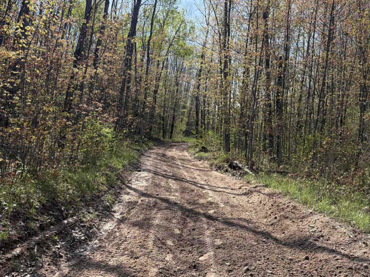 Sturgis Spur photo 2