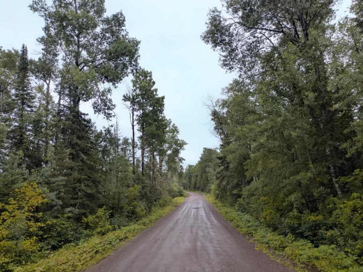 Brule Lake Road trail photo