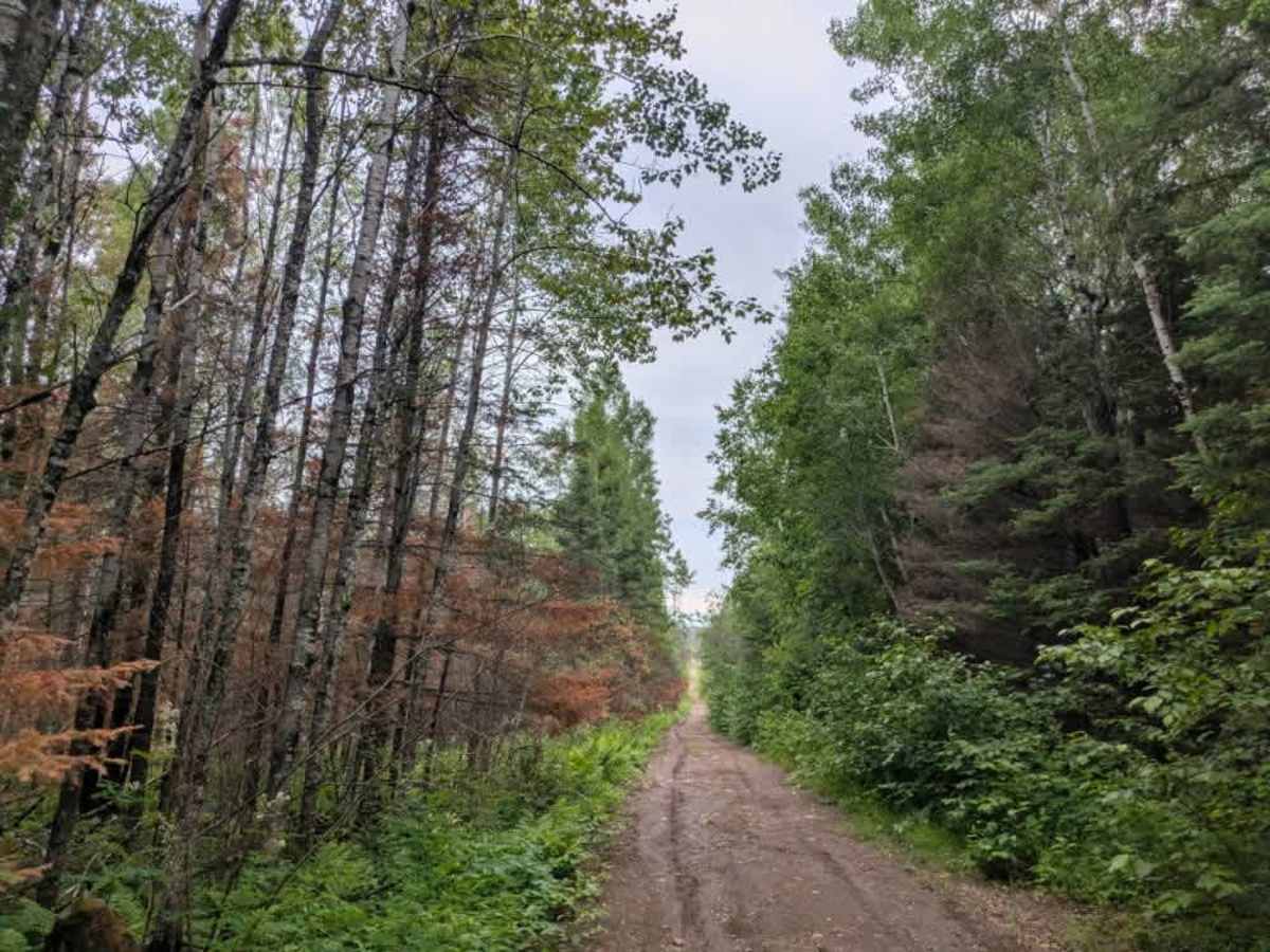 Hypo Creek  photo 5