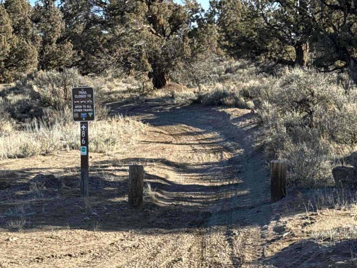 Millican Plateau OHV Trail 86 trail photo