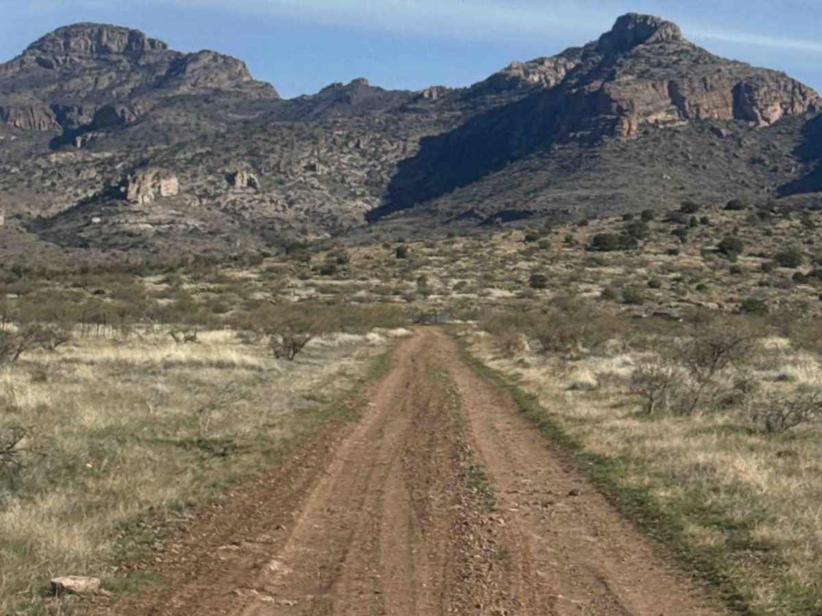 Fh1042 trail photo