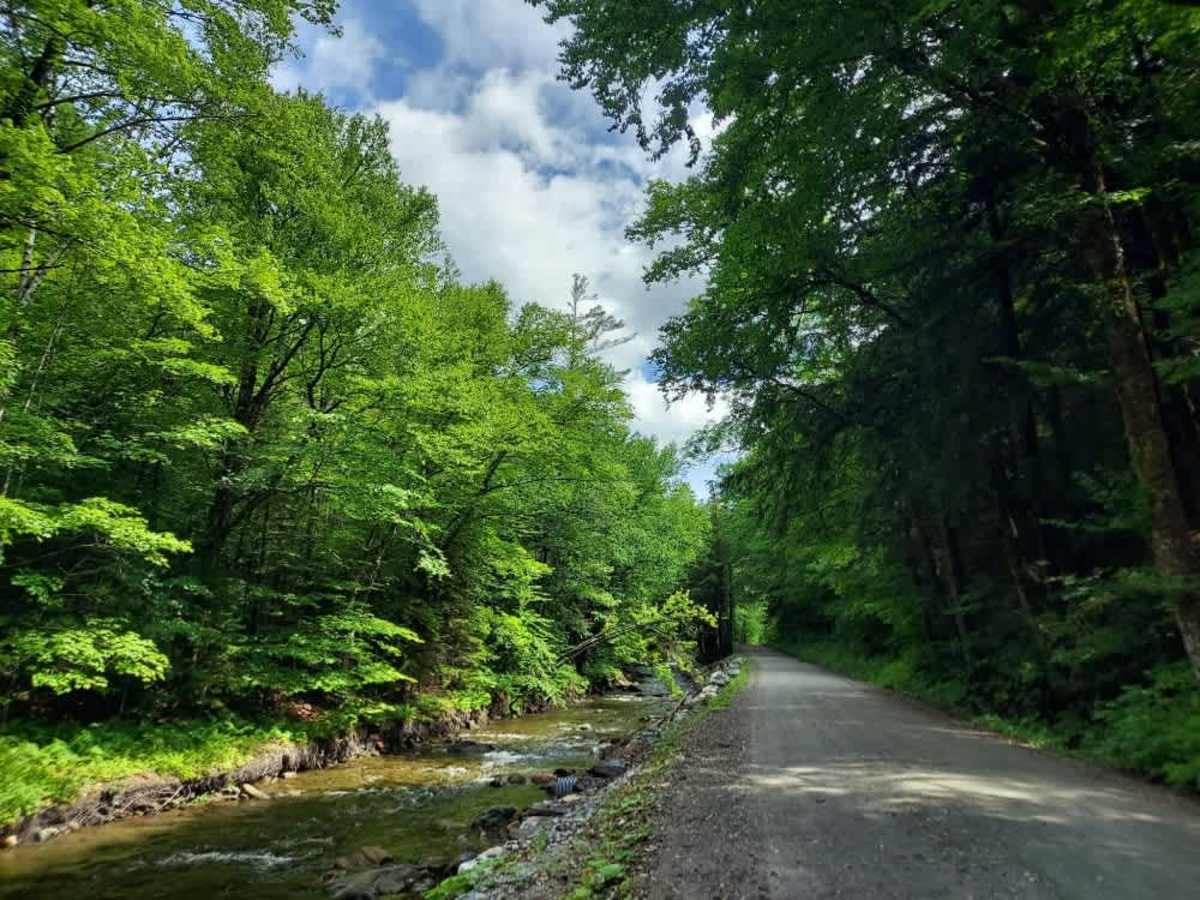 Chateauguay Road trail photo