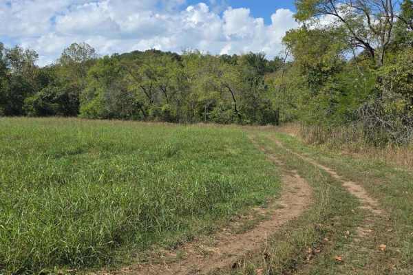 Hay Field Trail