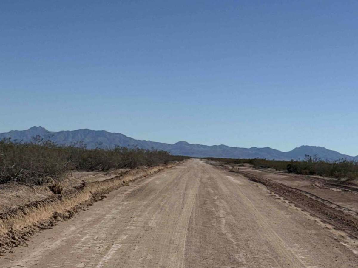 Ss1134d photo 2