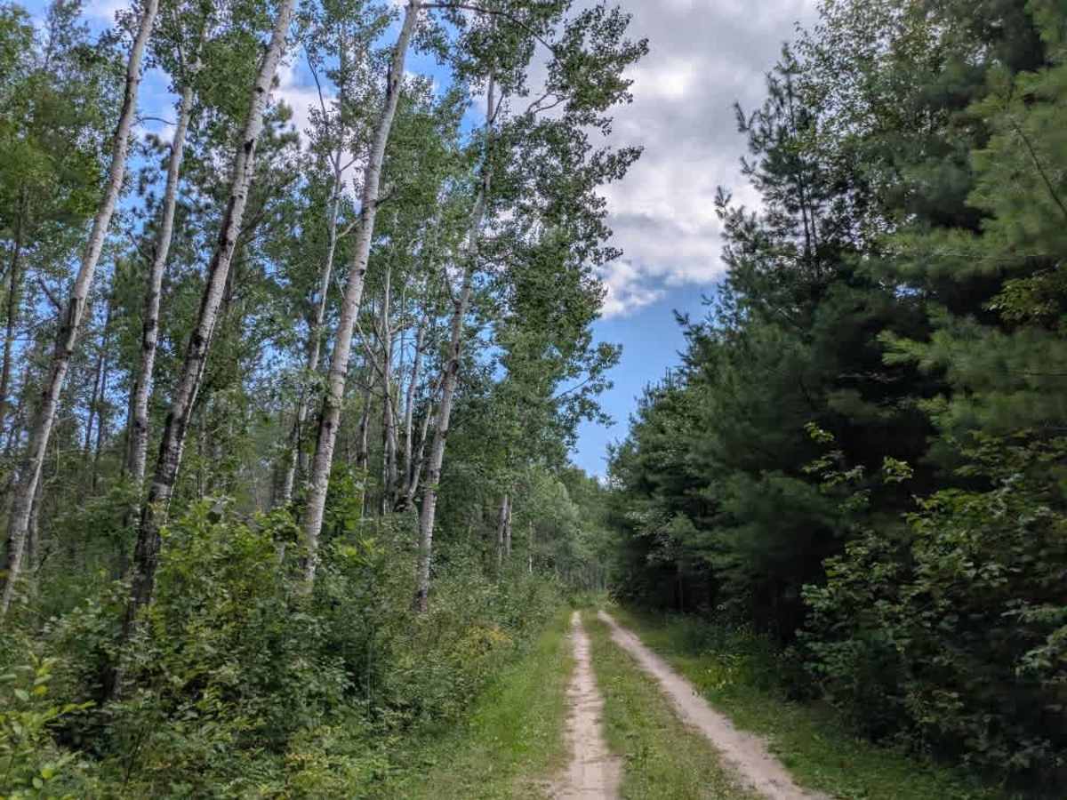  North Winnie Camp Lane photo 5