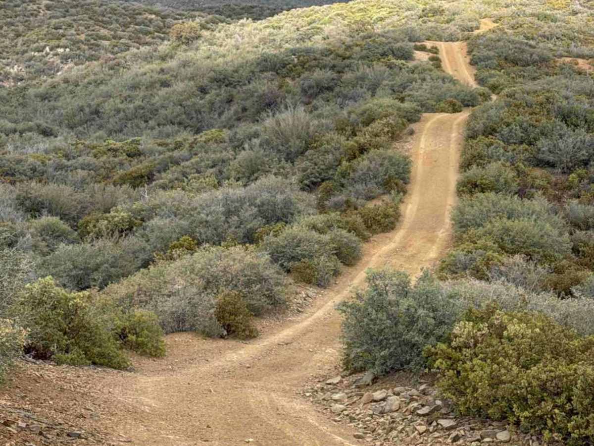 Bradshaw Trail - FS 9222C photo 5