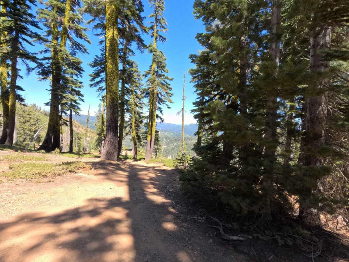 Deer Lake Road - FS 93-001 photo 2