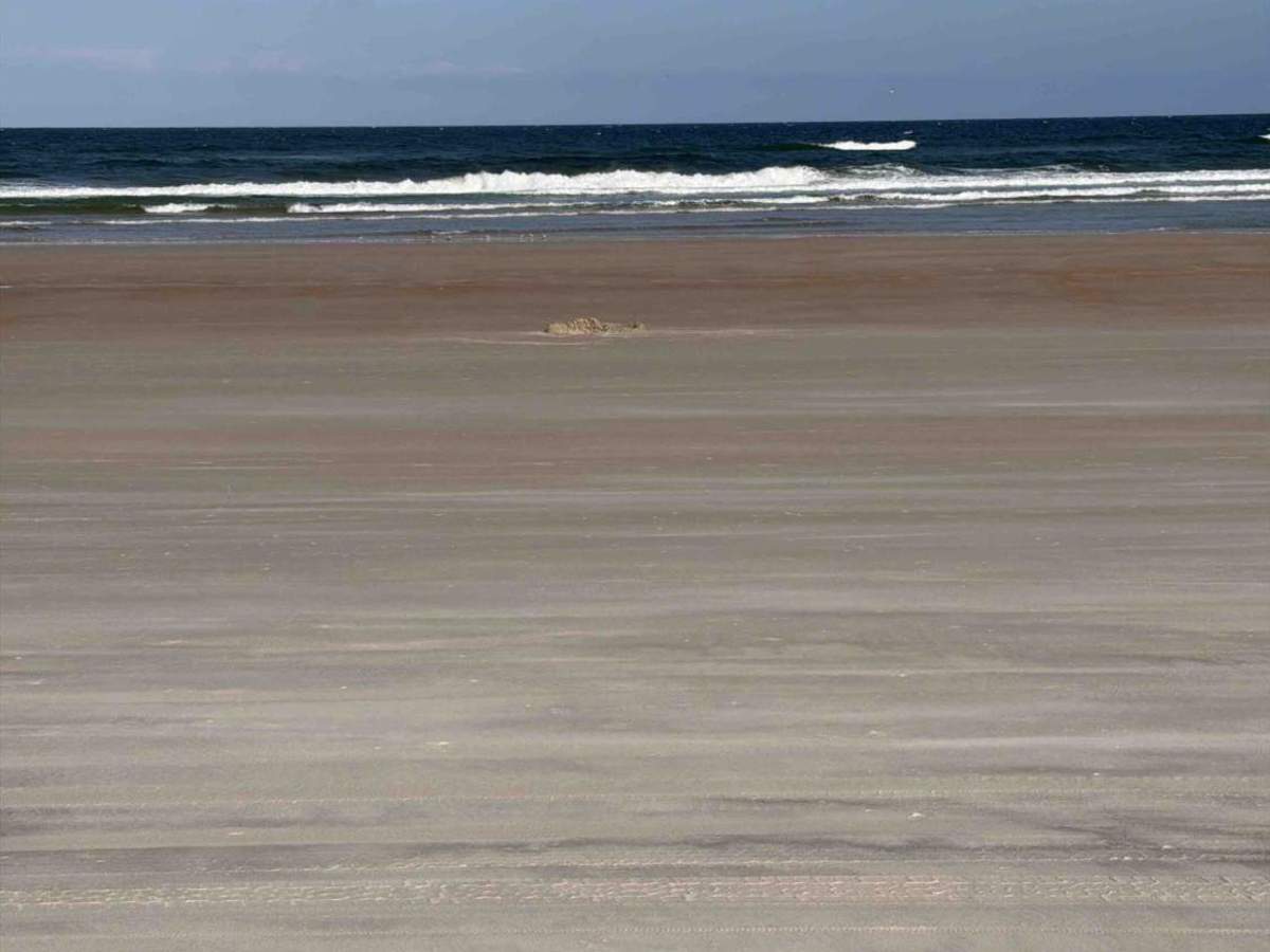 Daytona Beach photo 6