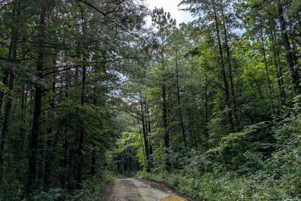 Lusk Point Road