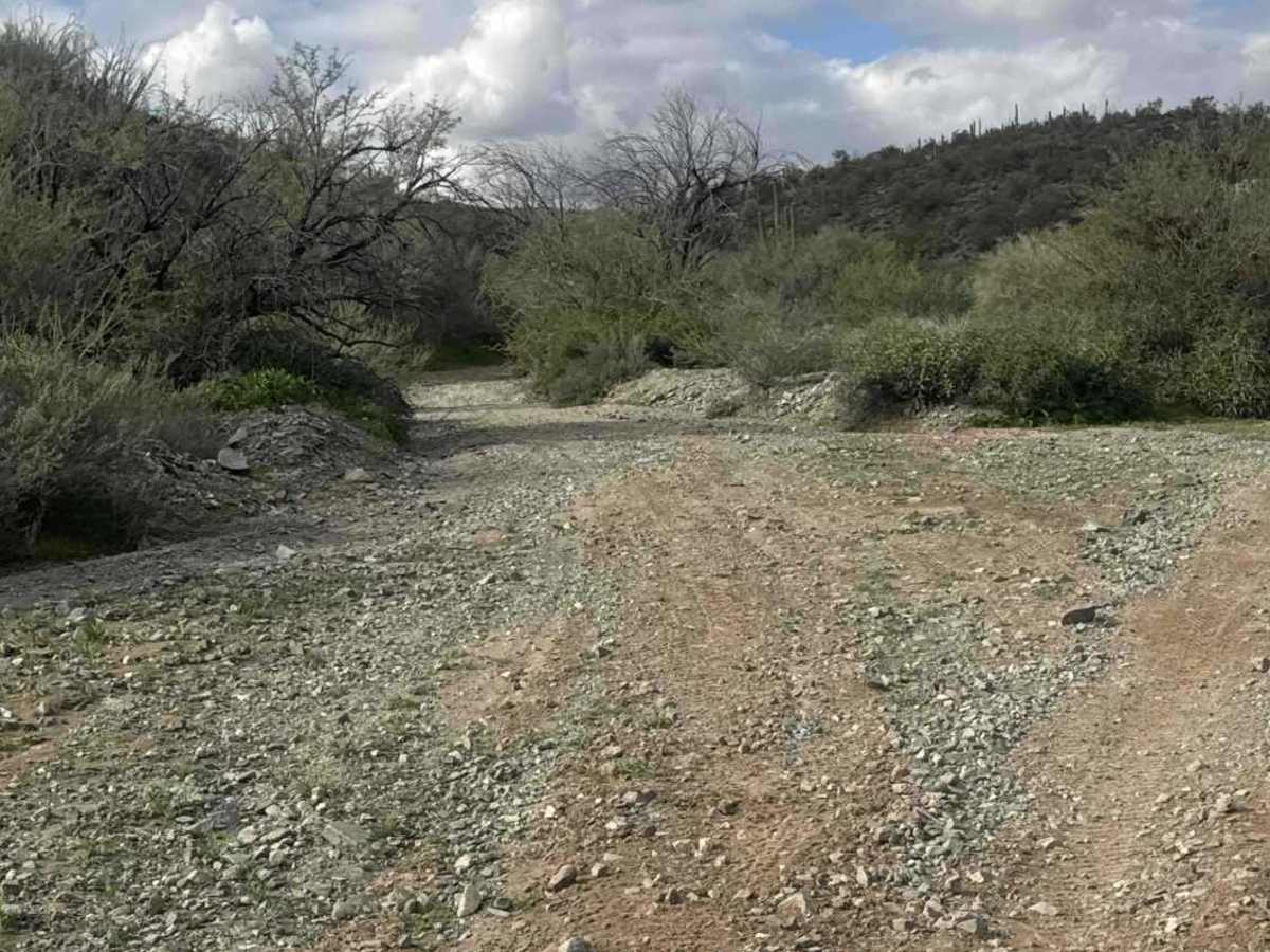Hellgate Spring Trail  trail photo