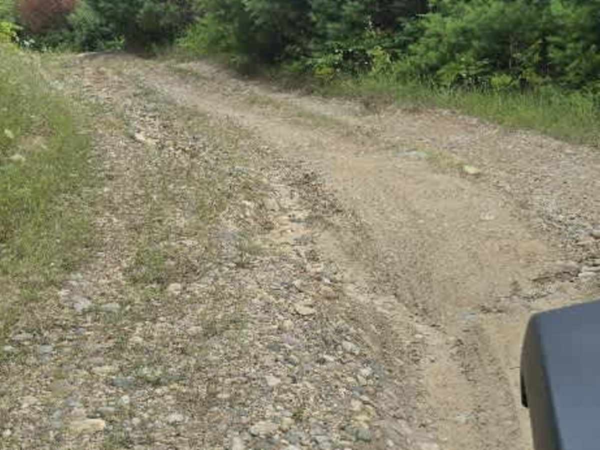 Southend Branch Line West trail photo