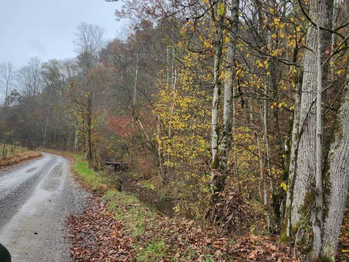 Wilmore Hollow Road - Macon County Tour photo 2