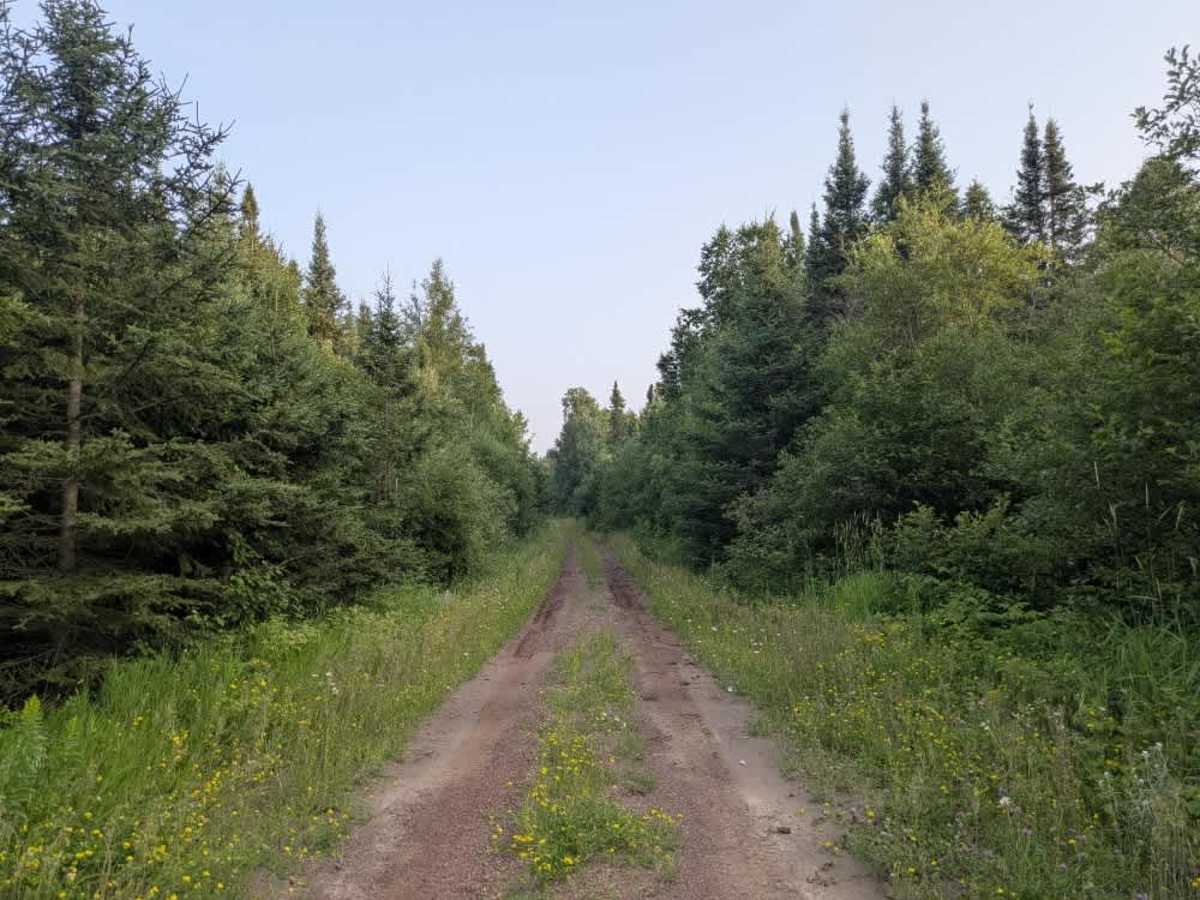 Swamp Lake photo 5