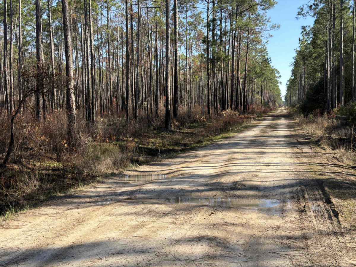 Western Way North - FS 314 photo 6