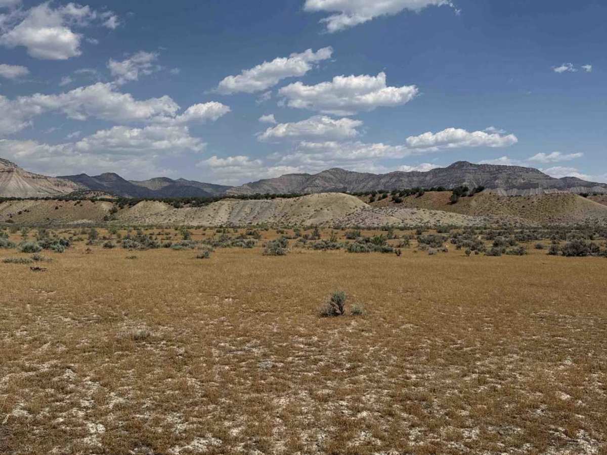 BLM 132A photo 6