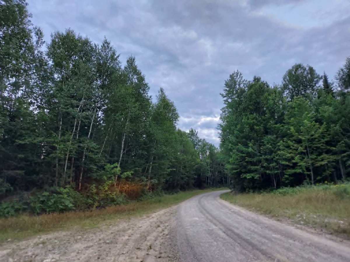 Truck Trail 3 photo 3