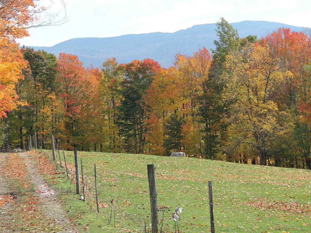 Big Hollow Road photo 6