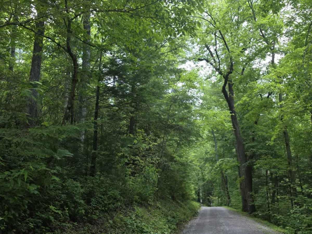 Little Greenbrier Road photo 3