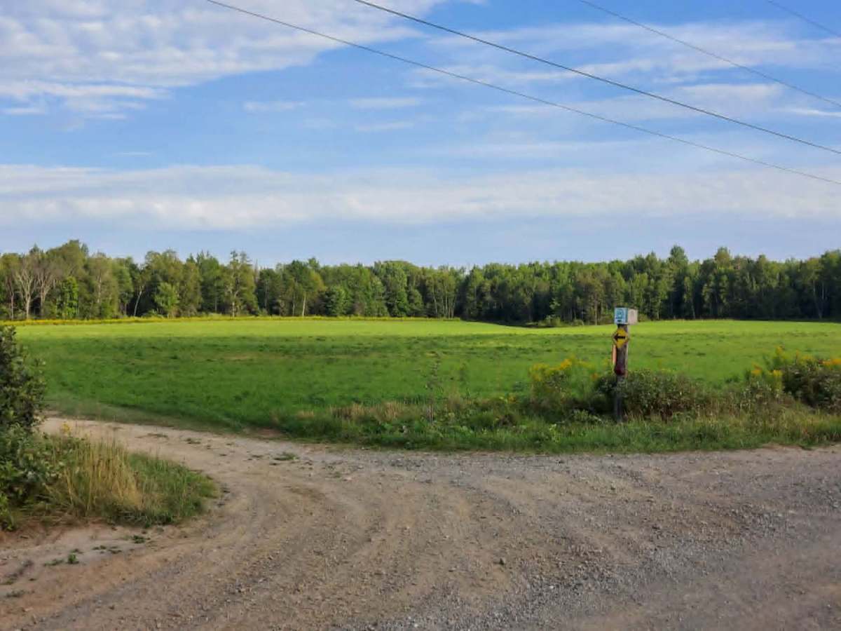 Lathrop Road trail photo