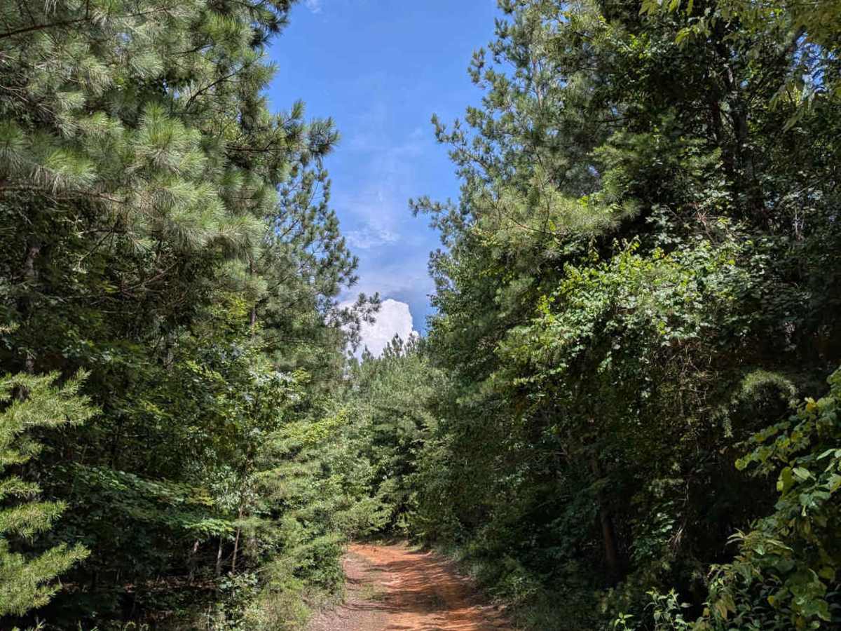 Brown Hollow Road photo 5