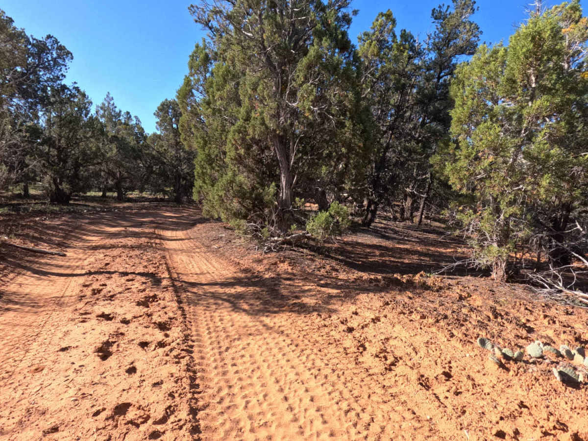 BLM 73P photo 3