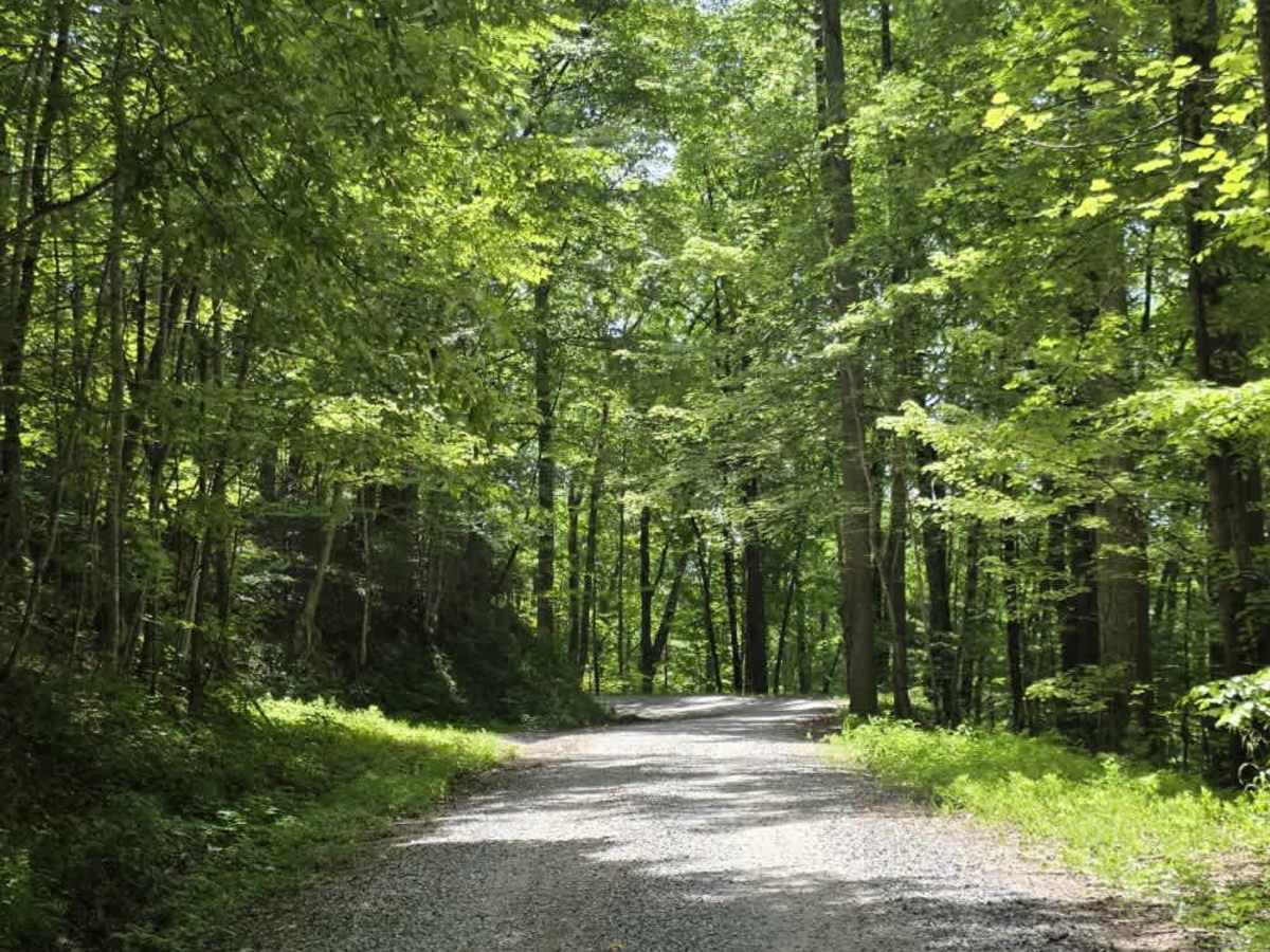 Round Mountain Road photo 6
