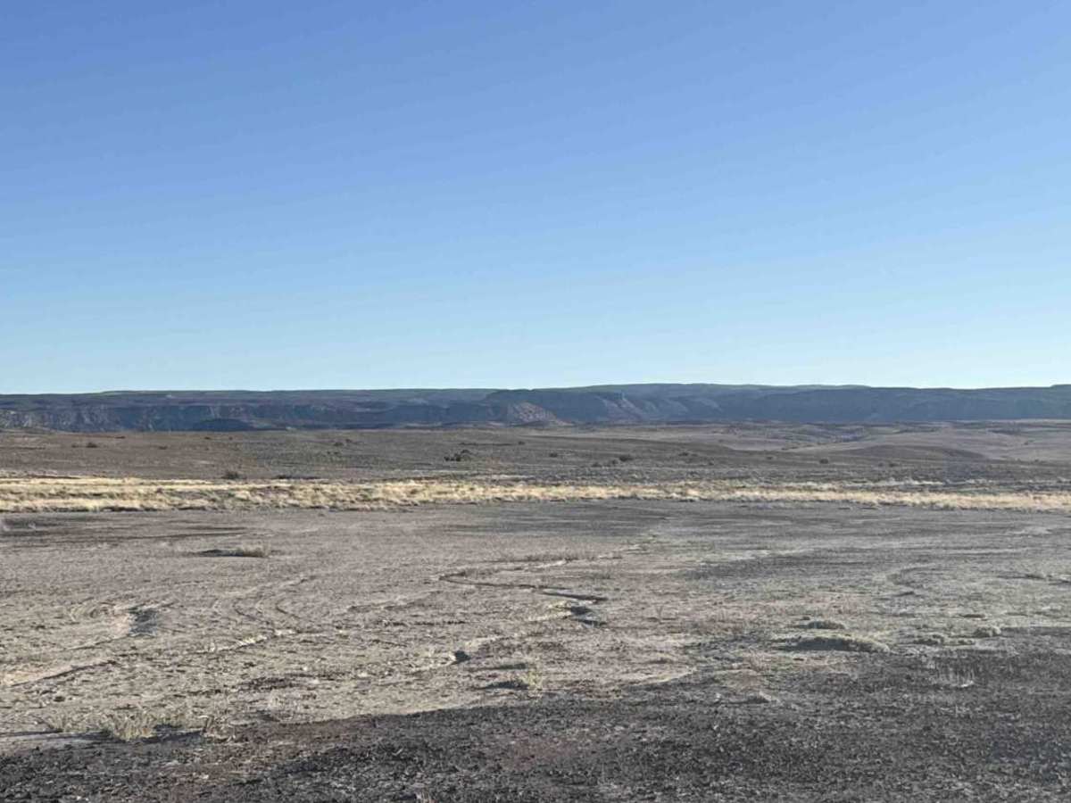 Munition Hill photo 4