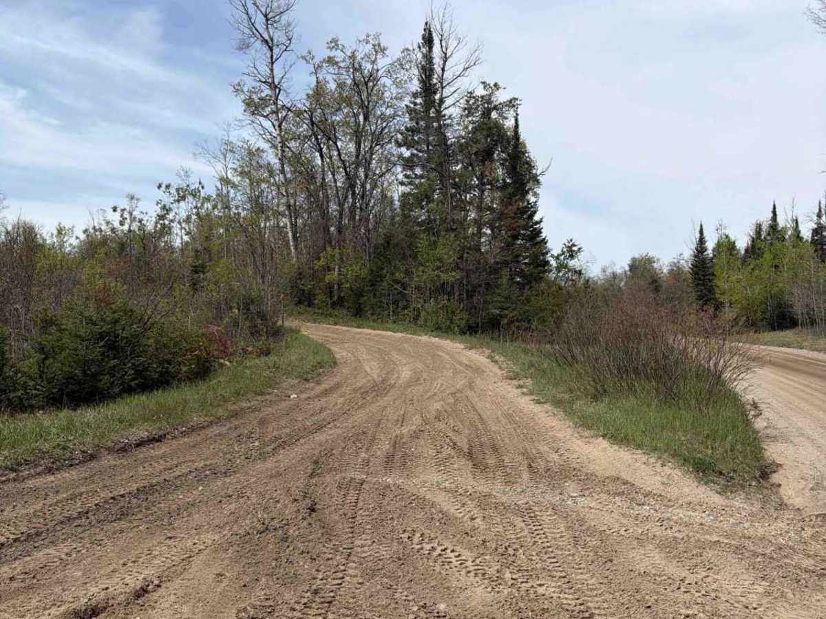 Big Oaks trail photo