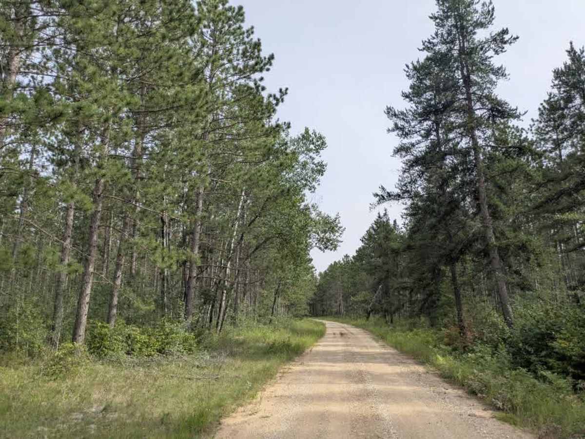 Krull Trail photo 5