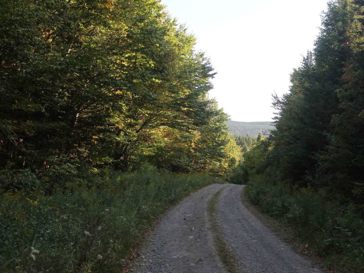 Stub Hill Road photo 2
