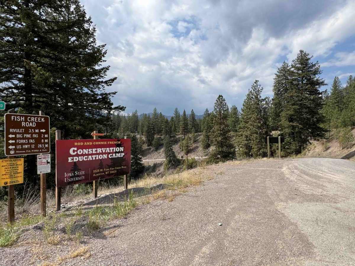 Iron Mountain - FSR 344 trail photo
