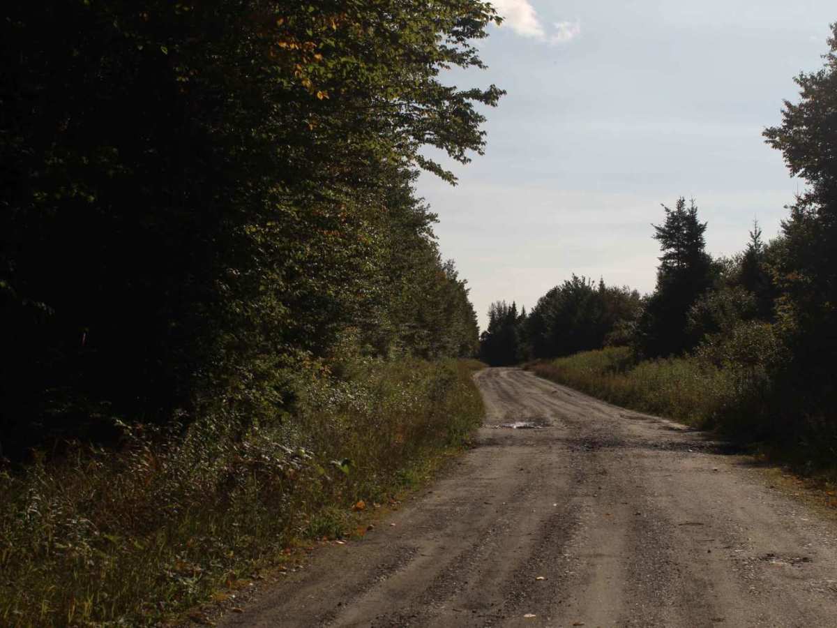 Smith Brook Road photo 2