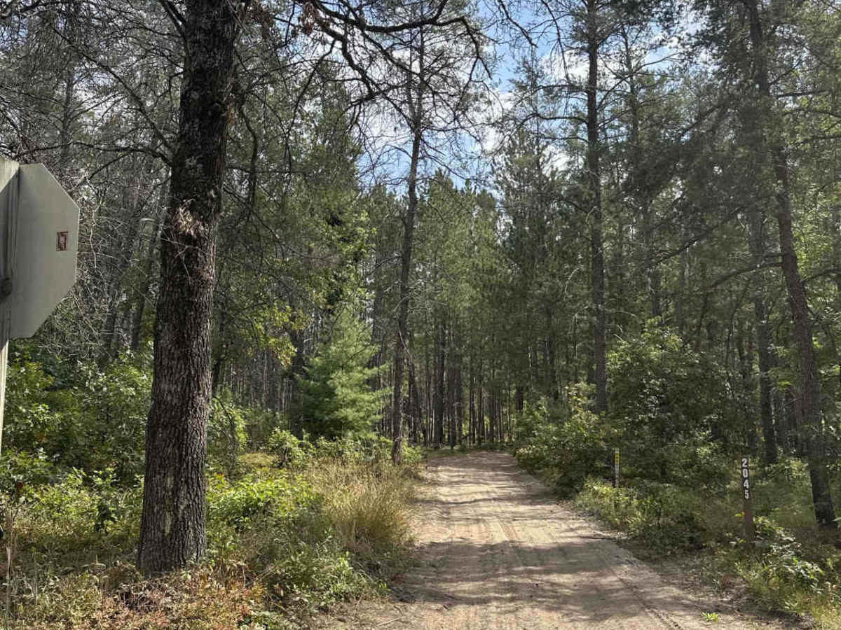 FS 2045 trail photo