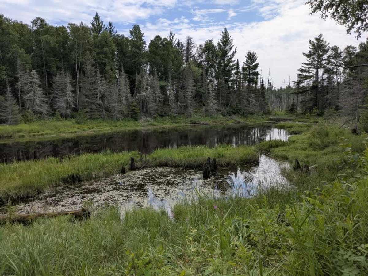 Dumbbell River photo 6