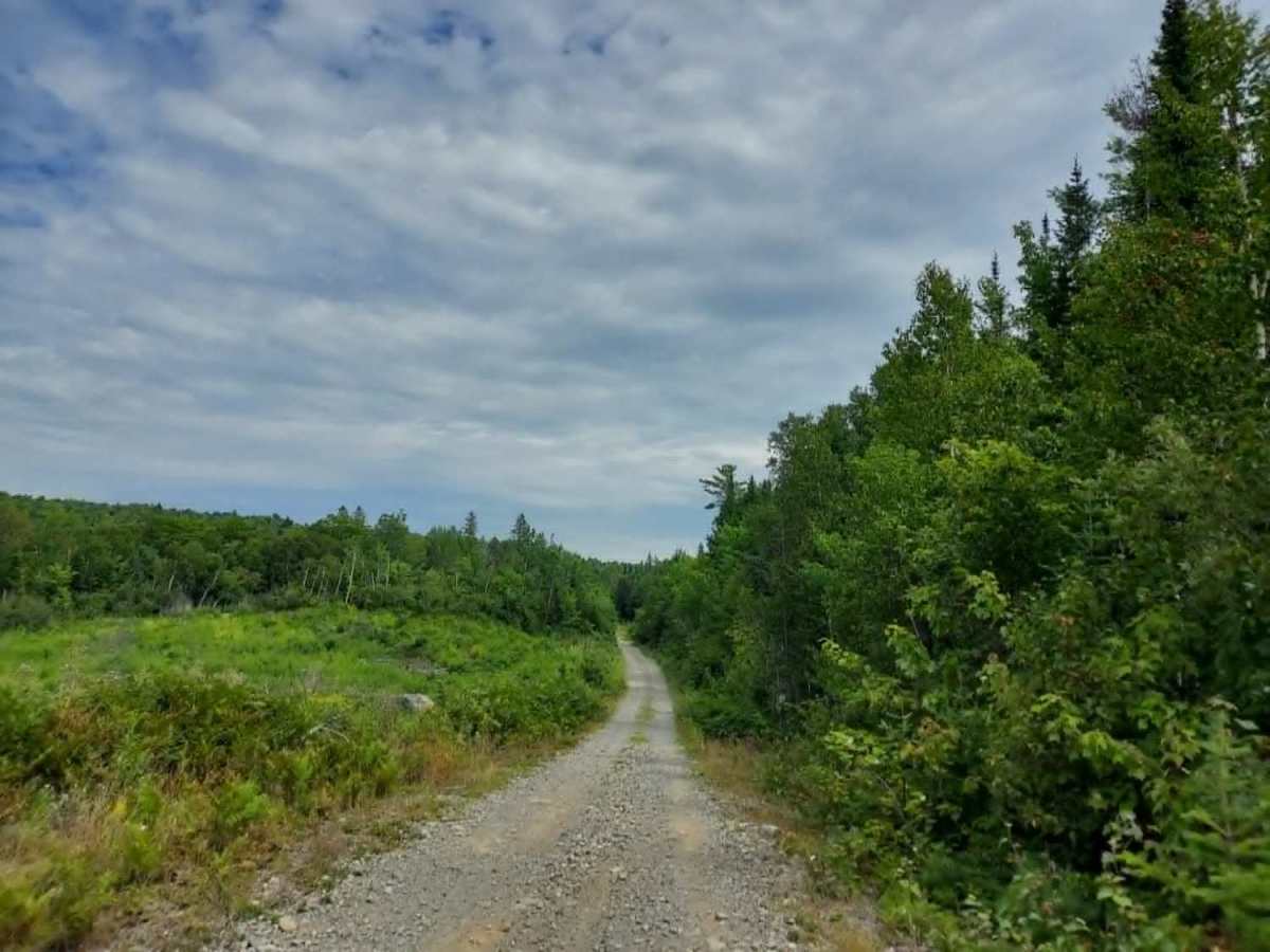 Harvey Siding Road Bypass photo 3