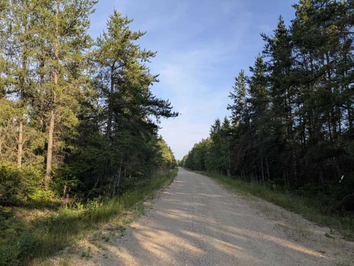 Santa Anna Forest Road photo 4