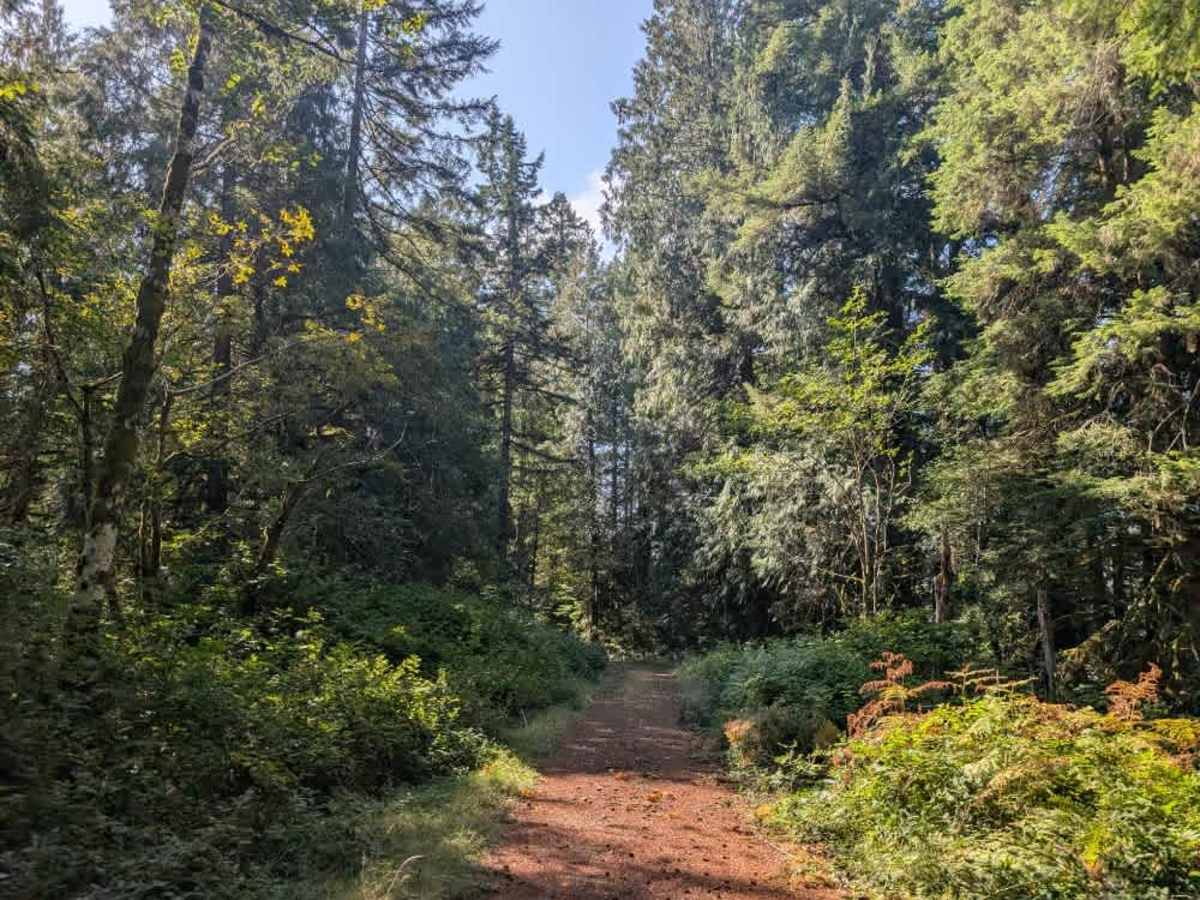 FS 2610819 trail photo