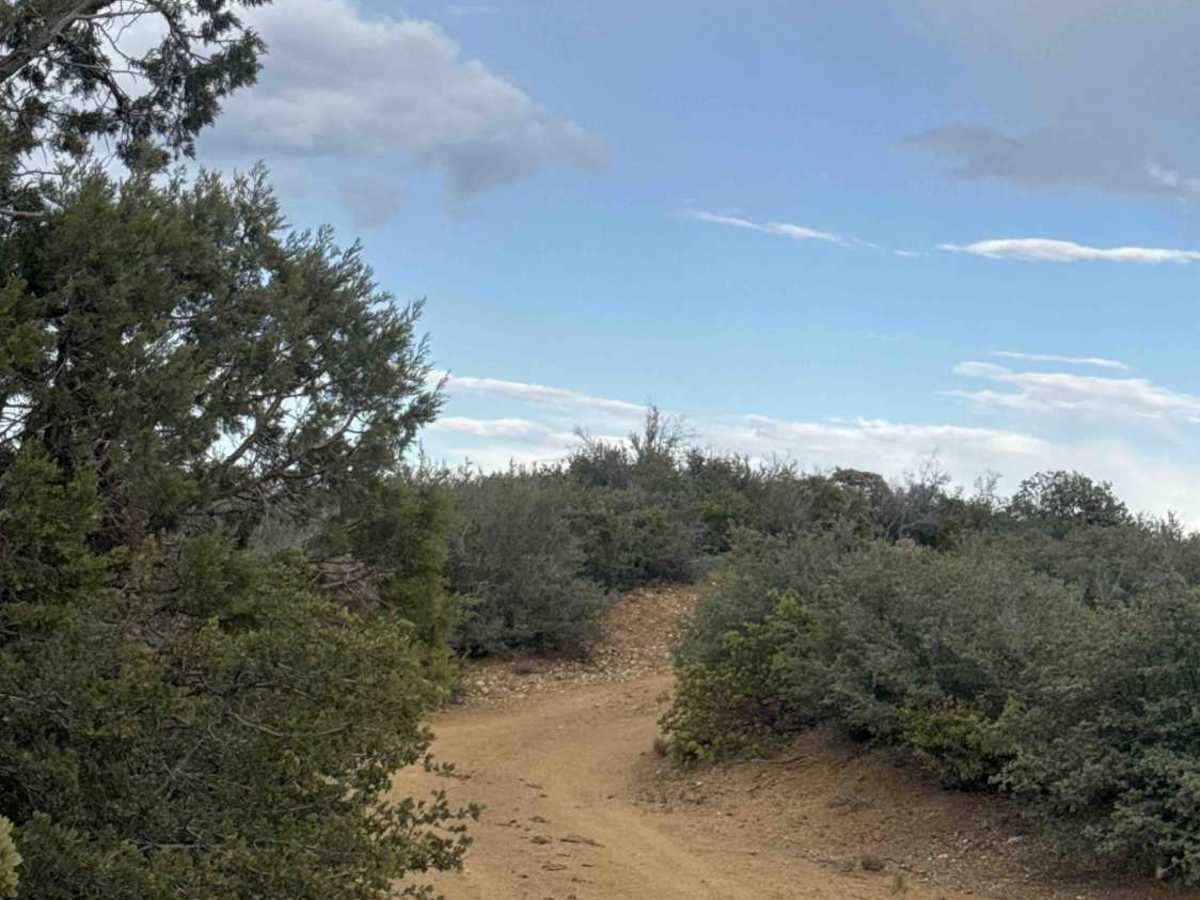 Bradshaw Trail - FS 9222C photo 2