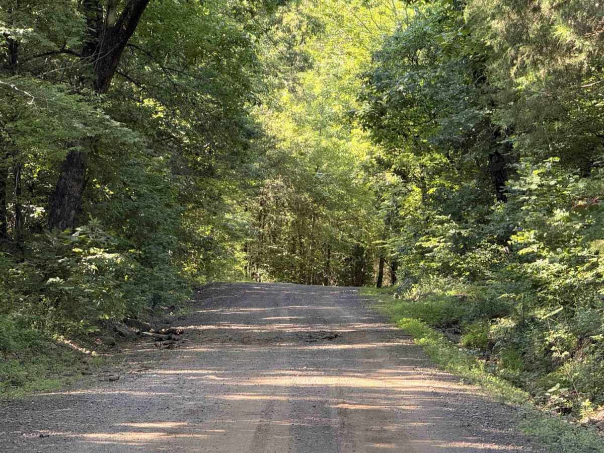 Cove Creek Road photo 3