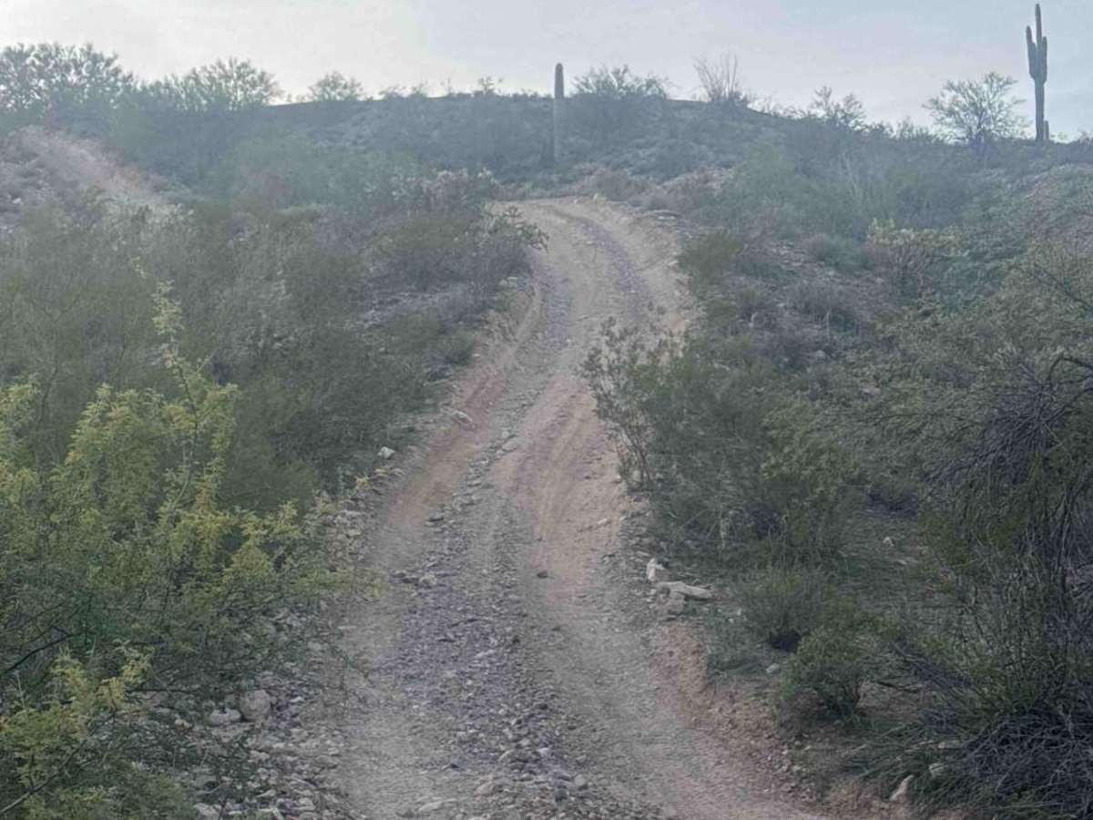 Fence Line Drop In  photo 3