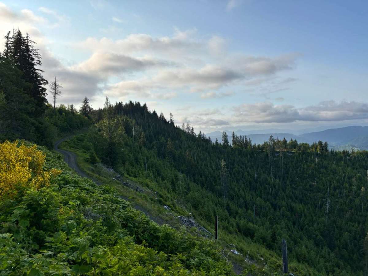 Firebreak 3 West photo 5