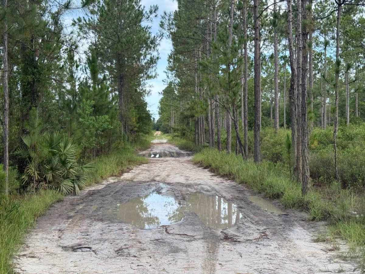 Camp Branch Road photo 3