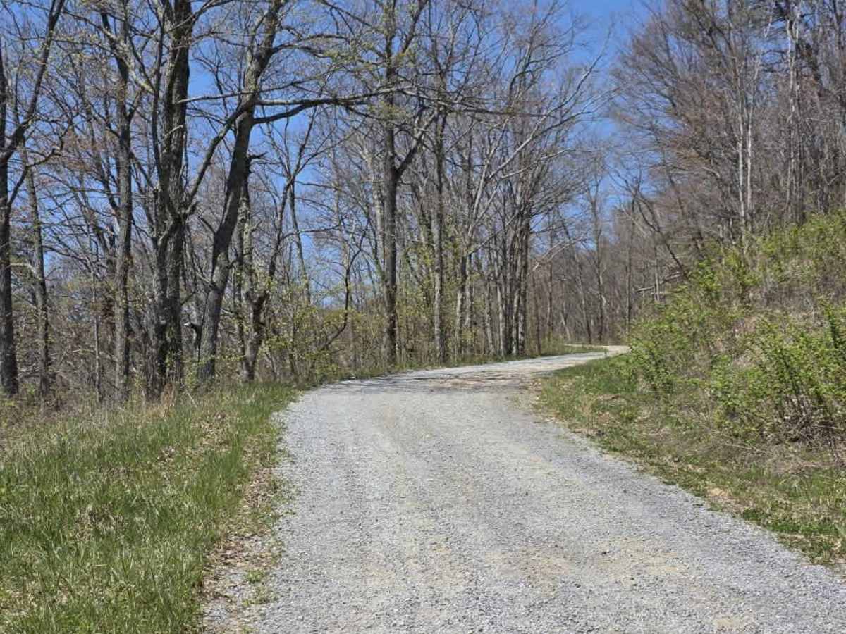 Panhandle Road Crest photo 2