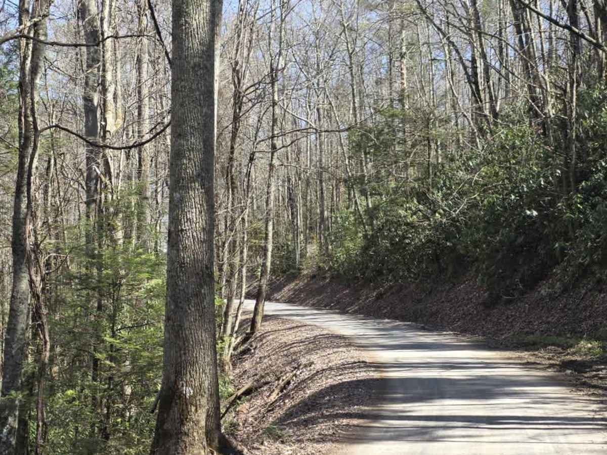 Walnut Mountain Road photo 4