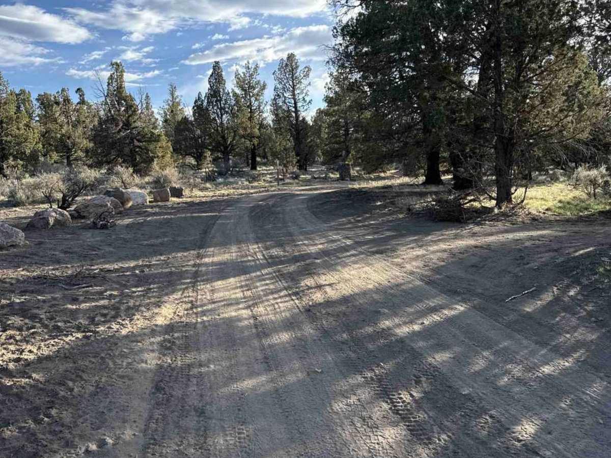 83 trail photo